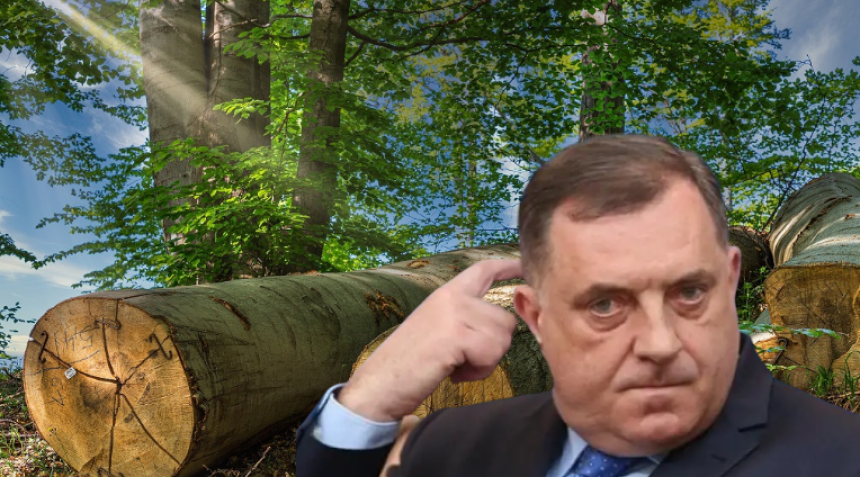 Додик открио: Шуме би биле сасвим уништене да ја то нисам зауставио!
