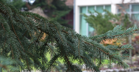 Danas sunčano, temperatura vazduha i do 20 stepeni