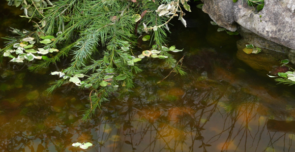Danas sunčano i toplije od prosjeka, do 20 stepeni