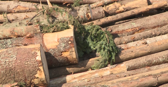 Radnici čekaju plate, a milioni se bacaju na sistem koji ne radi
