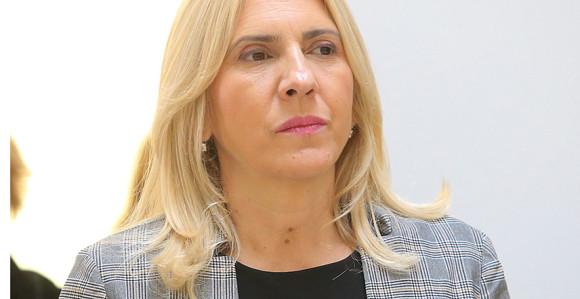 Cvijanović: Daćemo dodatni polet američkim investitorima