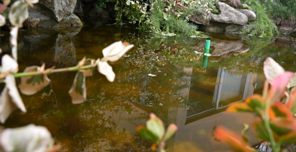 Облачно и свјежије уз повремену кишу, на југу с грмљавином