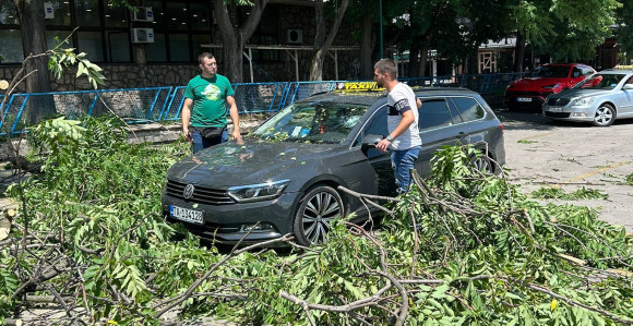 Невријеме рушило стабла, једно пало на такси возило