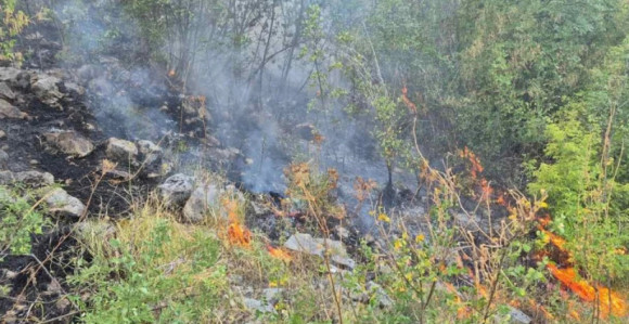 Други дан пожар на Корчули и даље гори, стижу појачања