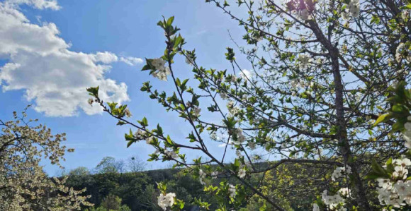 Danas maksimalna temperatura vazduha od 34 do 39 stepeni