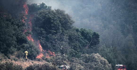 Gore hektari šume, angažovani i helikopteri MUP-a Srbije