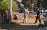 Pucnjava u Brčkom: Muškarac teško ranjen u sačekuši (VIDEO/FOTO)