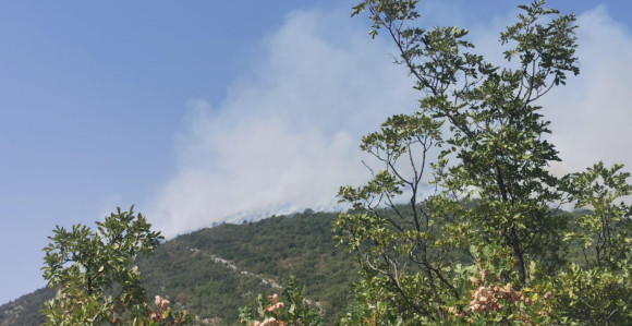 Trebinje: Stanje na požarištima stabilno