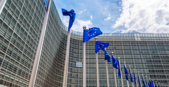 ЕУ: Испраћај Ратка Младића протекао без државних почасти
