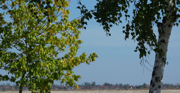 Danas sunčano i prijatno toplo, temperatura do 28°C