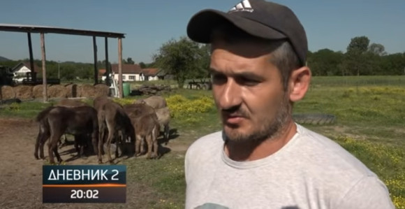 Апсурд у Добоју: Због „анонимне дојаве“ инспекција у контроли магарећег млијека које је до скоро хвалио и прорежимски РТРС